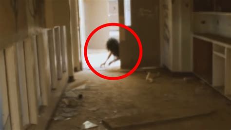 13 Creepiest Creatures Ever Found On Camera YouTube