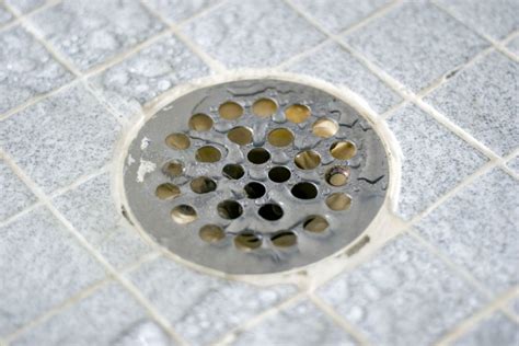 How To Vent A Shower Drain - HVACseer.com