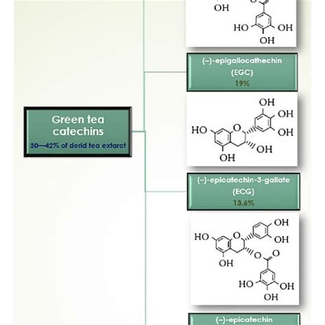 Molecular Structure Green Tea Catechins Download Scientific Diagram