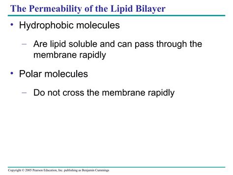 Membrane Structure and Function | PPT