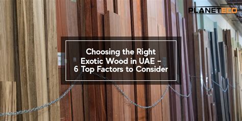 6 Things To Consider While Choosing The Right Exotic Wood