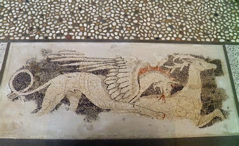 Part Of Pebble Mosaic Pavement From The Dionysos House Gr Flickr