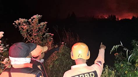 10 Hektare Hutan Dan Lahan Di Kawasan Pengunungan Ijen Hangus Dilalap