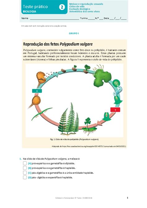 Teste Prático 2 Meiose E Reprodução Sexuada Ciclos De Vida Evolução Biológica Sistemática