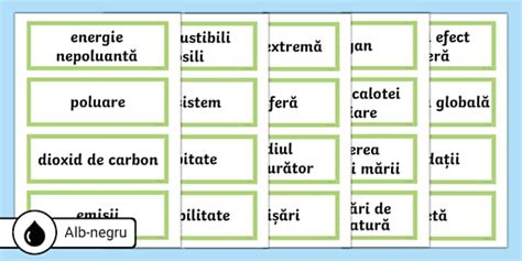 Schimb Rile Climatice Cartona E Cu Vocabular Twinkl