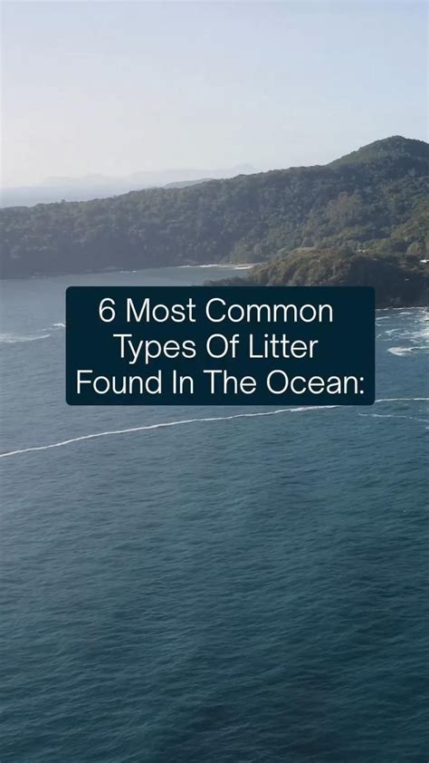 6 Most Common Types Of Litter Found In the Ocean in 2022 | Recycling containers, Ecosystems ...