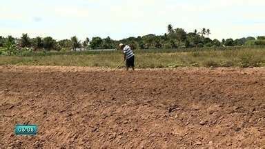 Bom Dia Alagoas Agricultores Precisam Realizar O Cadastro Ambiental