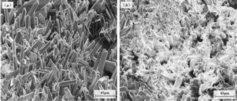 Crystal growth | PLOS One