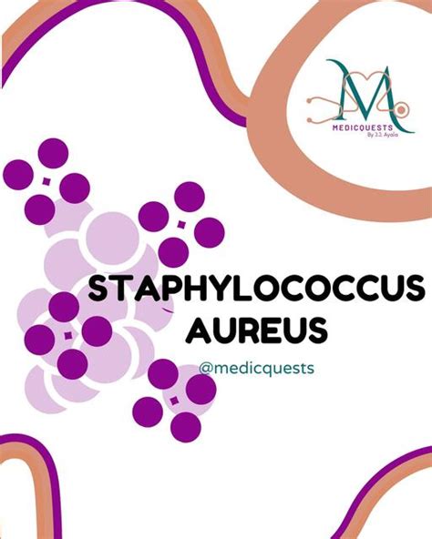 Staphylococcus Aureus Medicquests Udocz