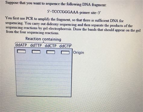 Solved Suppose That You Want To Sequence The Following Dna