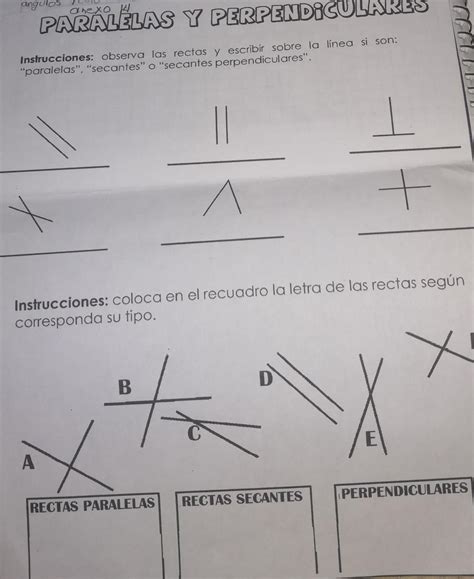 observa las rectas y escribe sobre la línea si son paralelas o secantes