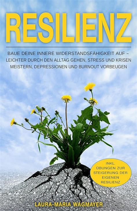 Resilienz Baue deine innere Widerstandsfähigkeit auf Leichter durch