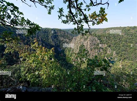 Teufelsmauer In Obscurum Thale Harz Stock Photo Alamy