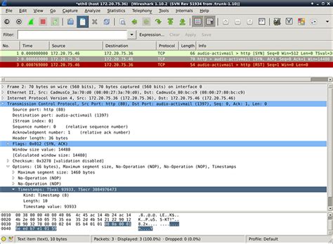 Misusing Tcp Timestamps