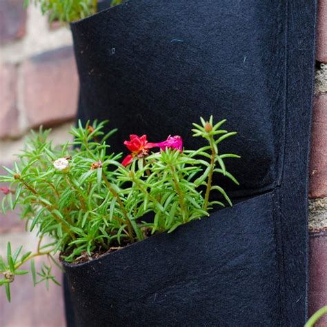 10 Balcony Gardening Tips | The Family Handyman