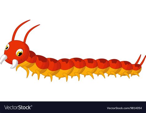 Centipede Cartoon Posing Royalty Free Vector Image