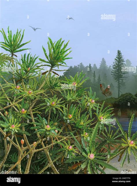 Cretaceous Plants Illustration Stock Photo Alamy