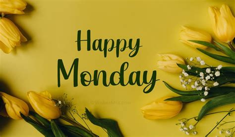 100+ Monday Wishes, Greetings & Quotes to Start the Week - WishesMsg