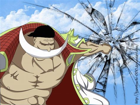 Whitebeard Wallpapers - 4k, HD Whitebeard Backgrounds on WallpaperBat