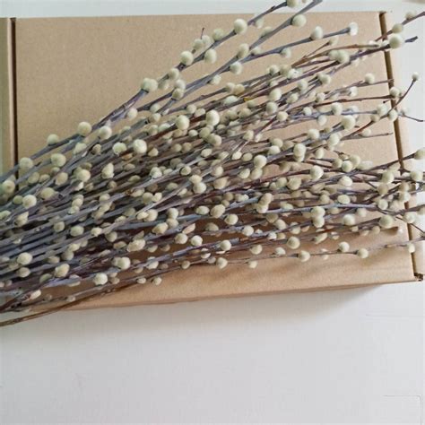 25 PCS Dry Pussy Willow Stems Letter Box Dried Flowers Easter Letterbox Easter Flowers