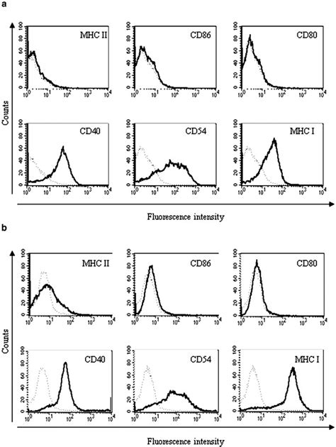 Surface Molecule Expression Analysis Using Flow Cytometry On A Human Download Scientific