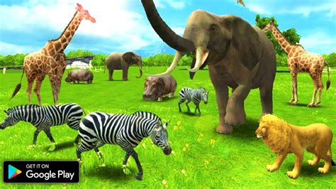 Top 5 Best Animal Games For Android 2021 High Graphics Offline