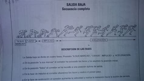 LAS PRUEBAS DE VELOCIDAD EN EL ATLETISMO V FASES DE LAS PRUEBAS DE