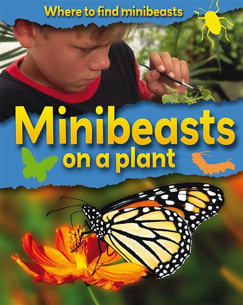 Buy Minibeasts On A Plant Where To Find Minibeasts Book Online At Low