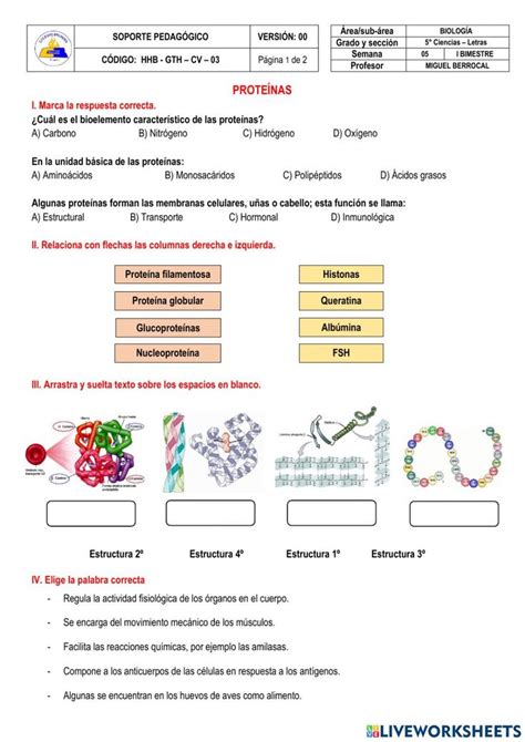 Ficha online de Las proteínas para Quinto de secundaria Puedes hacer