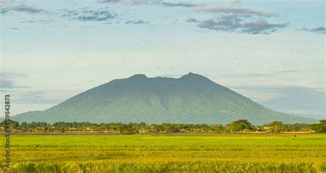 a view of Mount Arayat and it's vast rice field in the Philippines Stock Photo | Adobe Stock