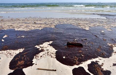 ContaminaciÓn De Las Playas Causas Y Consecuencias