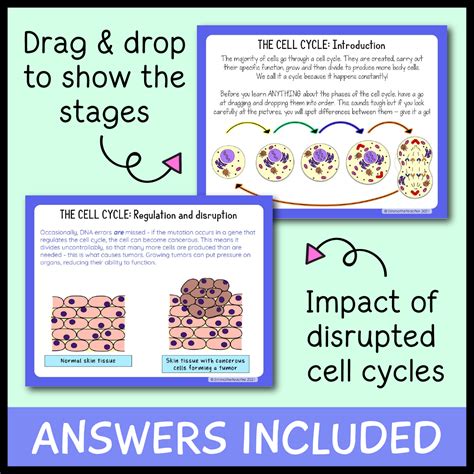 Cell Cycle Google Slides Emmatheteachie