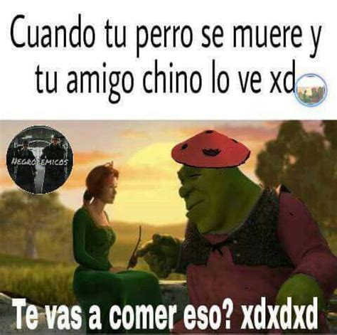 Te Vas A Comer Eso Meme Amino