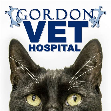 Gordon Vet Hospital added a new photo. - Gordon Vet Hospital