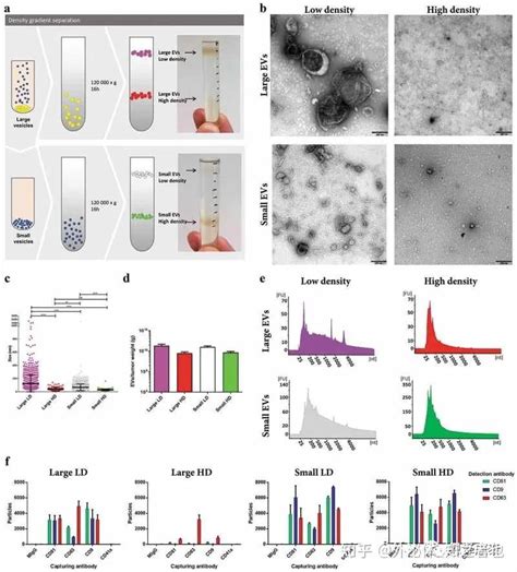 组织外泌体的提取方法和研究应用 知乎