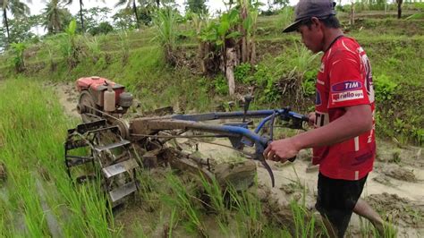 The Kubota Tractor Plows The Fields Joki Traktor Sawah Quick G