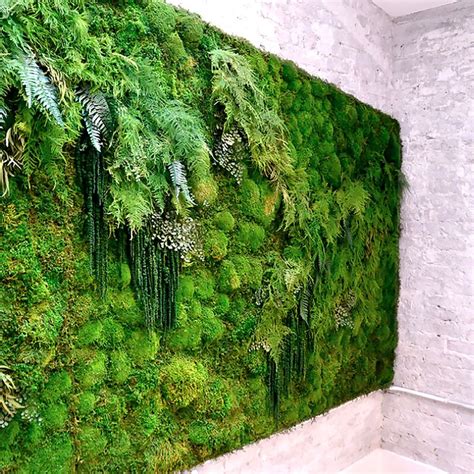 how to make an indoor living moss wall - Celeste Strauss