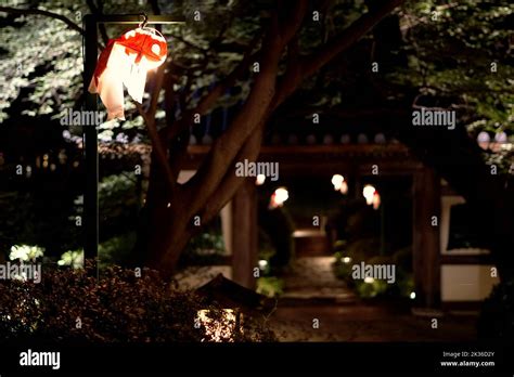 Japanese garden at night Stock Photo - Alamy