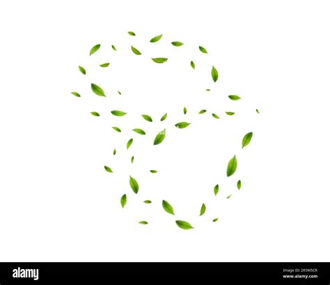 Realistic Green Tea Leaves In Motion Stock Vector Image And Art Alamy