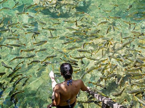 Rio do Peixe tudo que você precisa saber sobre o atrativo