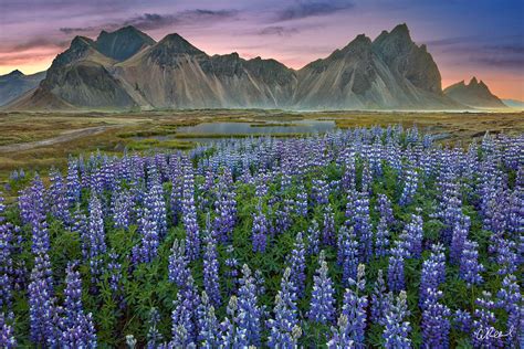 The Magic Of Vestrahorn Stokksnes Peninsula Iceland Fine Art