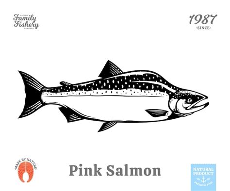 Premium Vector Vector Pink Salmon Fish Illustration