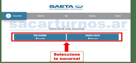 Turnos Saeta Sac Tu Turno Online O Por Tel Fono