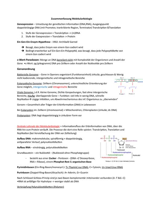 Zusammenfassung Molekularbiologie Zusammenfassung Molekularbiologie