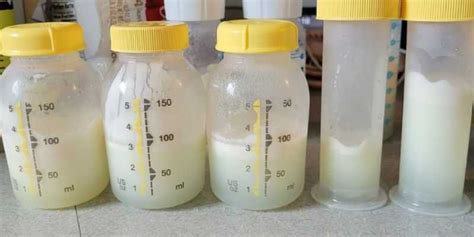 Help My Breast Milk Is Green — Milkology®