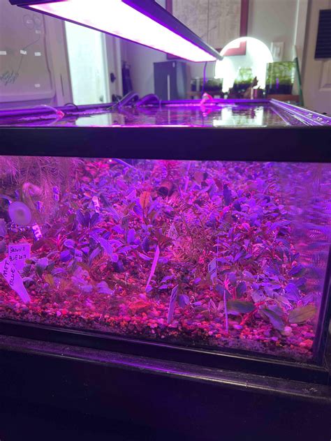 St louis mo forecast for 10 days predicts a major storm 14