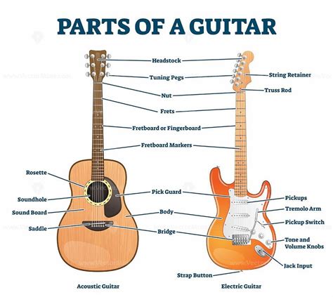 Acoustic Electric Guitar Diagram Guitar Parts Classical Part