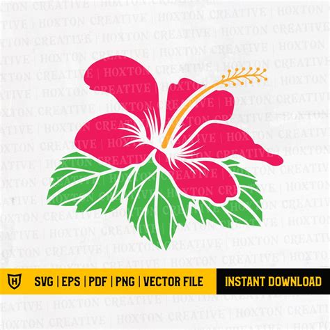 Hibiscus Flower Svg Hibiscus Svg Flower Svg Hibiscus Clip Art Hawaiian