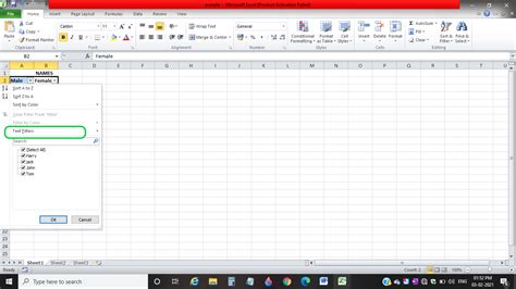 How To Apply Filter In Excel Data Filtering Simplified Free Online