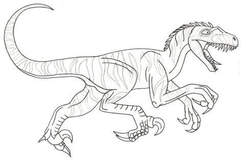 Desenhos De Velociraptor Para Colorir Pintar E Imprimir